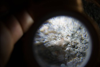 2017-02-24 03-52-18.JPG