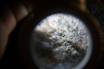 2017-02-24 03-52-28.JPG