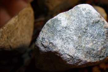 2017-02-24 03-53-04.JPG