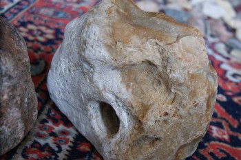 2017-02-24 07-41-06.JPG