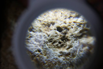 2017-02-24 07-39-32.JPG