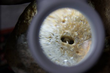 2017-02-24 07-38-48.JPG