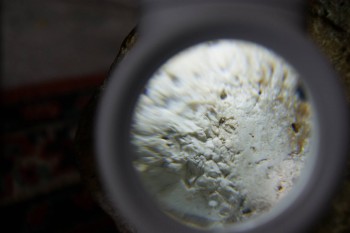 2017-02-24 07-38-42.JPG