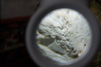 2017-02-24 07-38-40.JPG