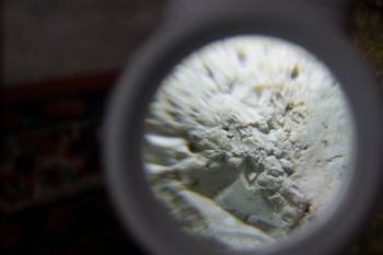 2017-02-24 07-38-30.JPG