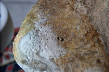 2017-02-24 07-38-14.JPG