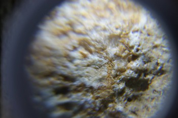 2017-02-24 07-37-26.JPG