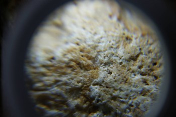 2017-02-24 07-37-18.JPG