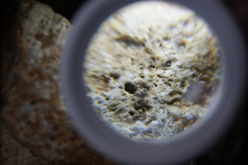 2017-02-24 07-36-26.JPG