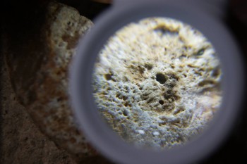 2017-02-24 07-36-08.JPG