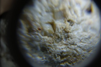 2017-02-24 07-34-38.JPG