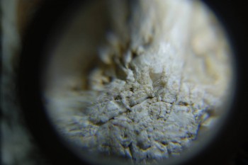 2017-02-24 07-33-38.JPG