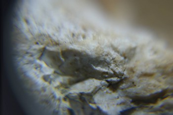 2017-02-24 07-32-10.JPG