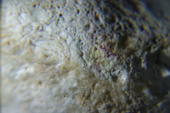 2017-02-24 07-31-26.JPG