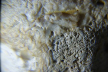 2017-02-24 07-30-54.JPG