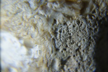 2017-02-24 07-30-30.JPG