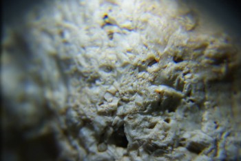 2017-02-24 07-29-22.JPG