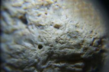 2017-02-24 07-29-10.JPG