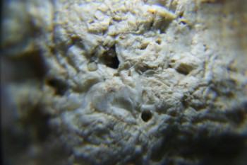 2017-02-24 07-29-00.JPG