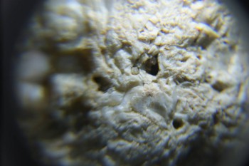 2017-02-24 07-28-50.JPG