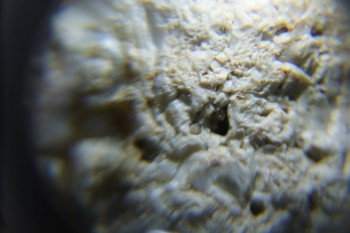 2017-02-24 07-28-42.JPG