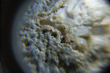 2017-02-24 07-27-06.JPG