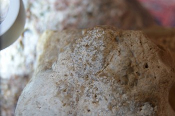 2017-02-24 07-26-26.JPG