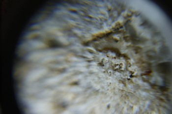 2017-02-24 07-25-22.JPG