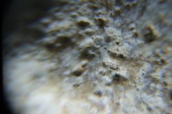 2017-02-24 07-25-14.JPG