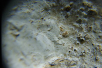 2017-02-24 07-25-08.JPG