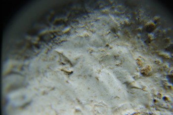 2017-02-24 07-25-00.JPG