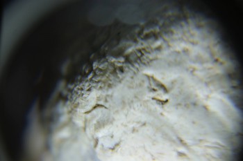 2017-02-24 07-24-50.JPG