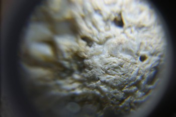 2017-02-24 07-23-28.JPG