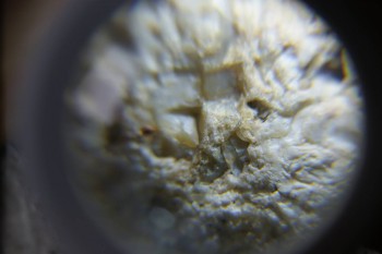 2017-02-24 07-23-14.JPG