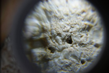 2017-02-24 07-23-08.JPG