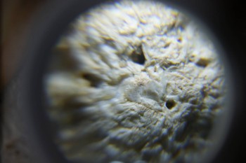 2017-02-24 07-22-50.JPG