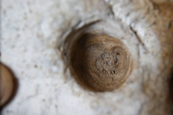 2017-02-24 07-21-54.JPG