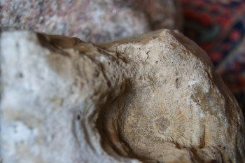 2017-02-24 07-21-42.JPG