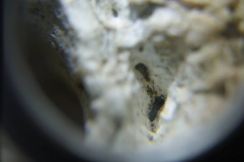 2017-02-24 07-19-30.JPG