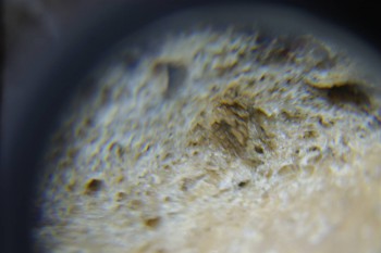 2017-02-24 07-18-14.JPG