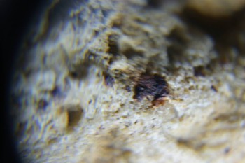 2017-02-24 07-17-18.JPG