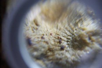 2017-02-24 07-16-48.JPG