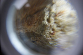 2017-02-24 07-16-36.JPG