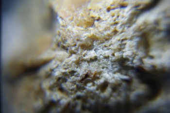 2017-02-24 07-16-02.JPG