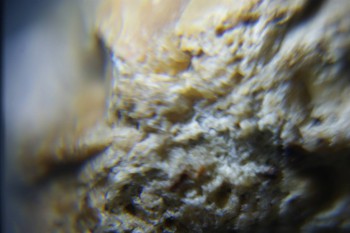 2017-02-24 07-15-46.JPG