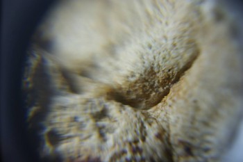 2017-02-24 07-15-24.JPG