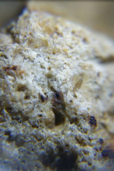 2017-02-24 07-14-04.JPG