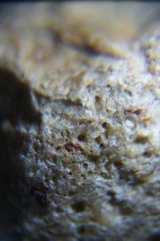 2017-02-24 07-13-48.JPG