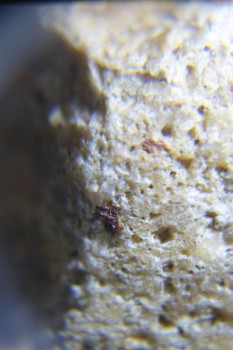 2017-02-24 07-13-38.JPG