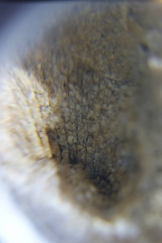 2017-02-24 07-13-32.JPG